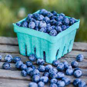 BLUEBERRIES