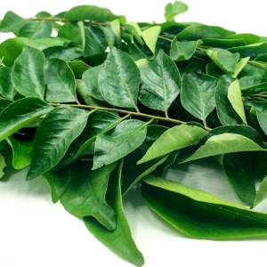 CURRY LEAVES