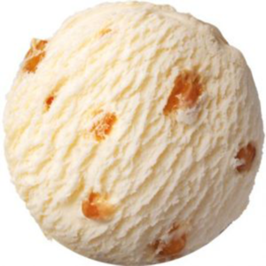 Icecream Hokey Pokey