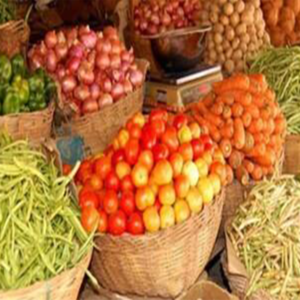 OPEN VEGE KG