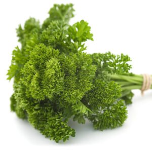 PARSLEY