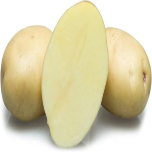 POTATO AGRIA WASHED