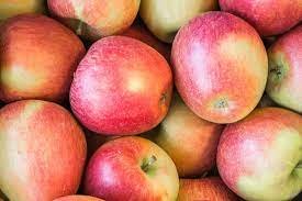 APPLE BRAEBURN