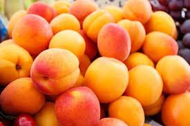 APRICOT