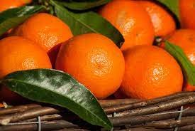 AUS MANDARIN