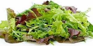 mesclun clearwater