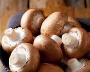 MUSHROOM BROWN