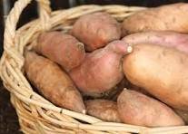 KUMARA ORANGE