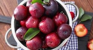 PLUMS OMEGA