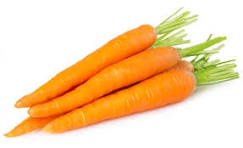 CARROT LOOSE
