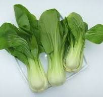 PAK CHOI SHANGAHI