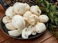 MUSHROOMS White